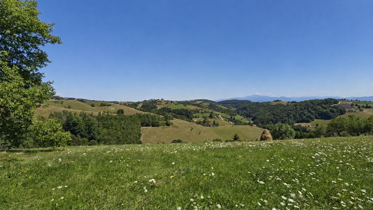 Teren de vânzare în Central, Poiana Marului – fotografia 5 din 10