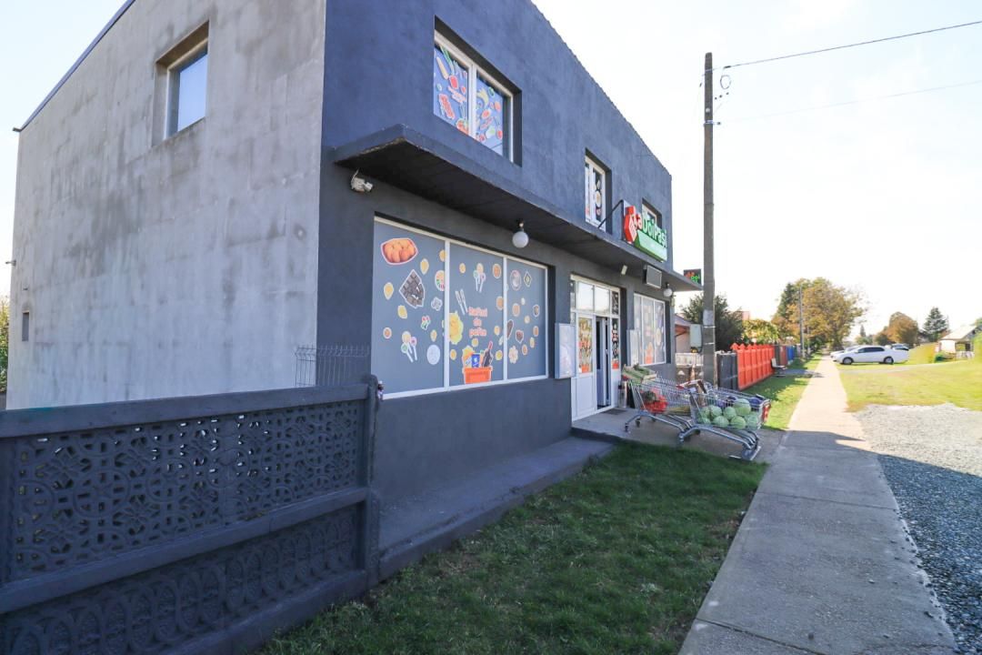 Spațiu comercial cu 3 camere de vânzare în Central, Tamadau Mare – fotografia 23 din 24