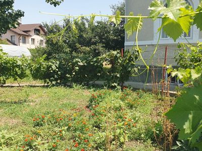 Casă cu 4 camere de vânzare în Est, Buftea – fotografia 3 din 12