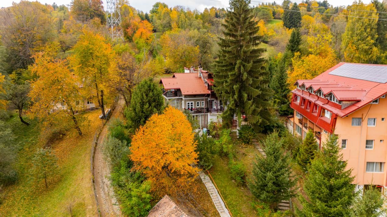 Casă cu 7 camere de vânzare în Central, Bran – fotografia 34 din 38