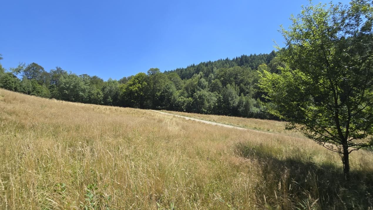 Teren de vânzare în Central, Poiana Marului – fotografia 8 din 9