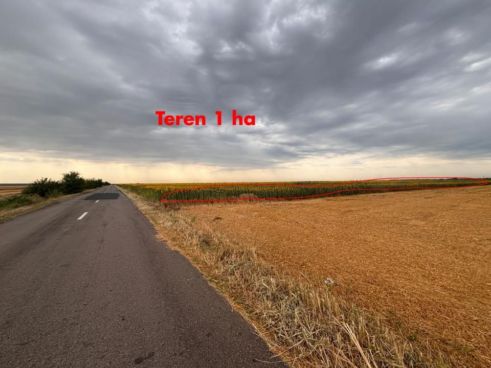 Teren de vânzare în Vlad tepes – fotografia 7 din 10