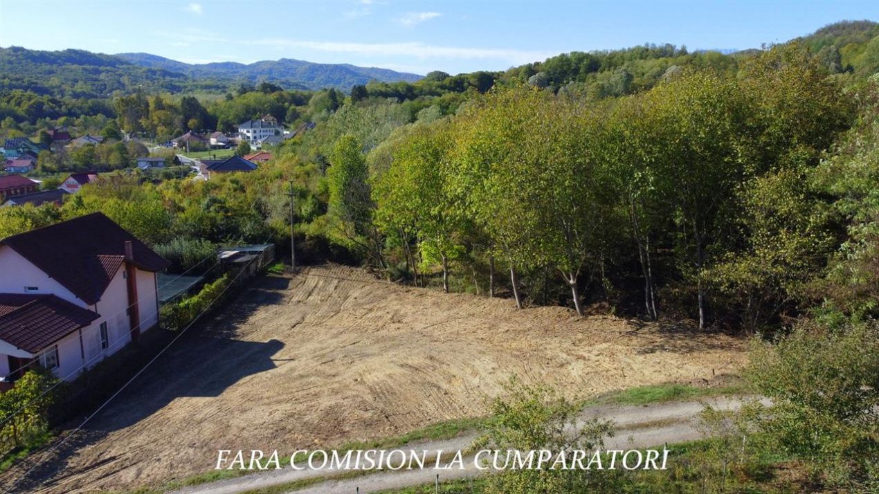 Teren de vânzare în Est, Pausesti-Maglasi – fotografia 7 din 17