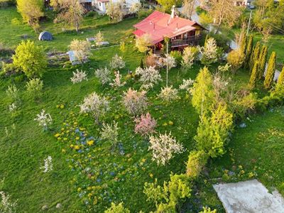 Teren de vânzare în Slanic – fotografia 4 din 6