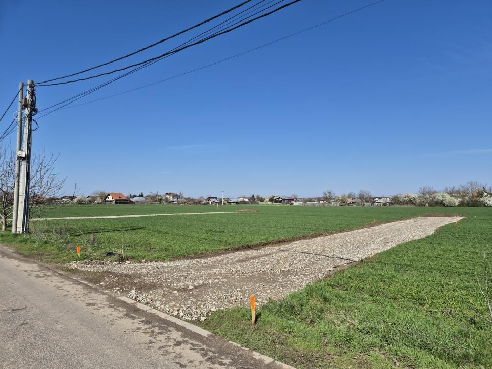 Teren de vânzare în Snagov – fotografia 8 din 9