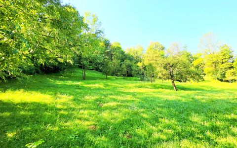 Teren de vânzare în Valea Bradului