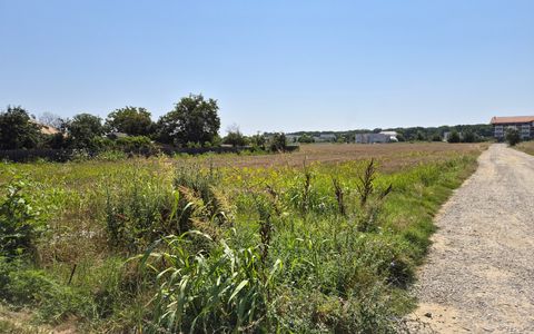Teren de vânzare în Ciofliceni