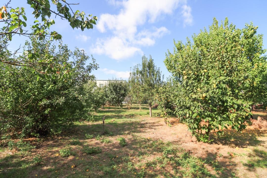 Spațiu comercial cu 3 camere de vânzare în Central, Tamadau Mare – fotografia 14 din 24
