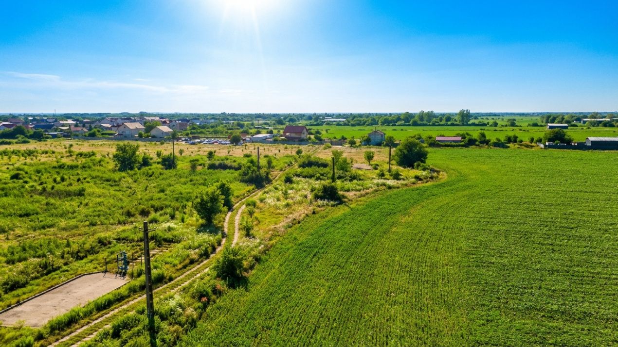 Teren de vânzare în Periferie, Bragadiru – fotografia 7 din 16