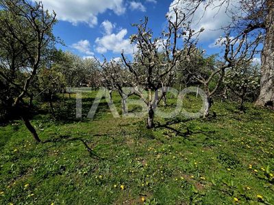 Casă cu 3 camere de vânzare în Beclean – fotografia 5 din 16
