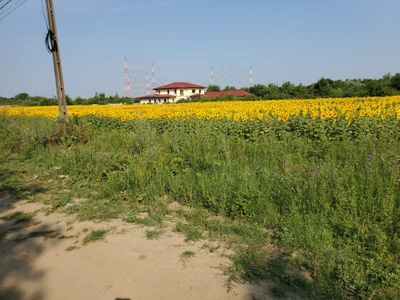 Teren de vânzare în Ciolpani – fotografia 2 din 2