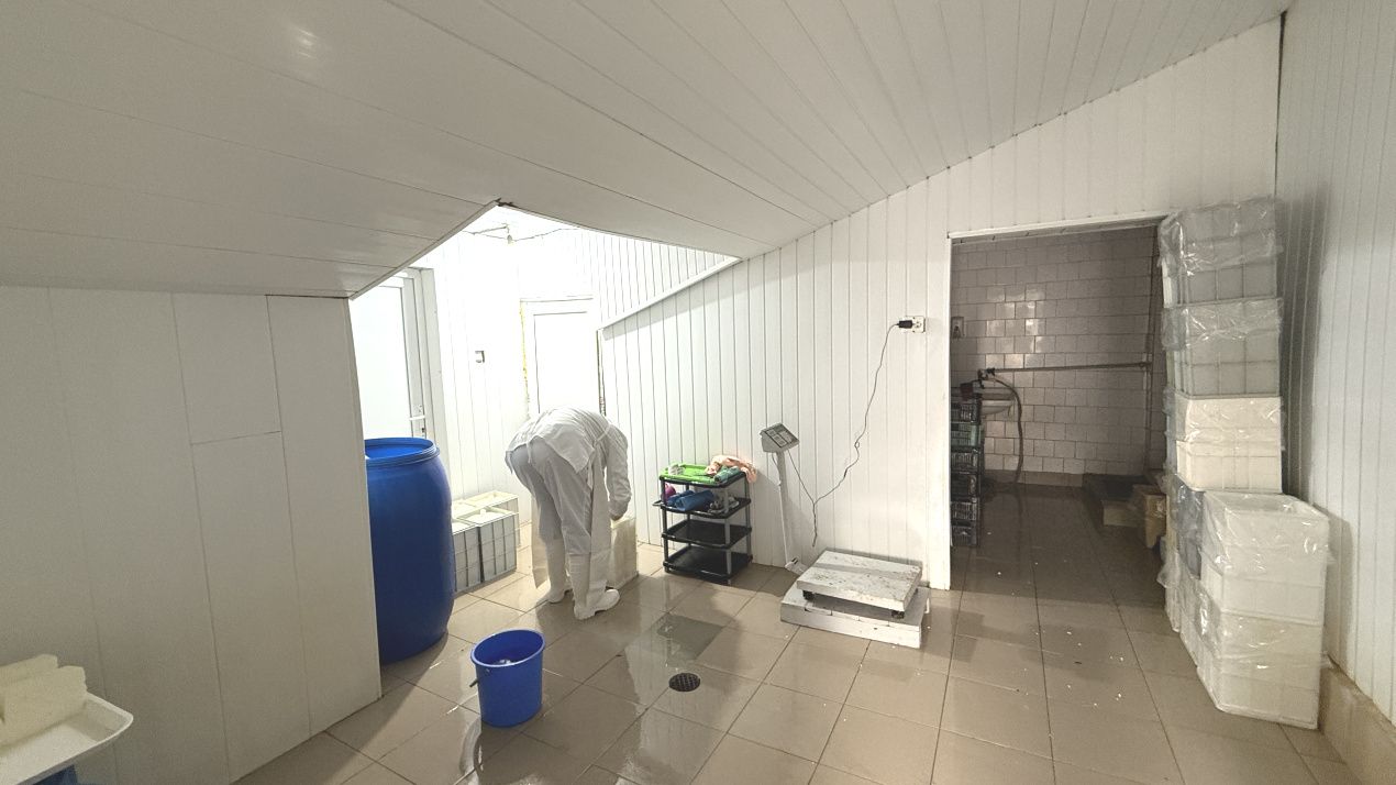 Spațiu comercial cu 5 camere de vânzare în Însurăței – fotografia 9 din 16