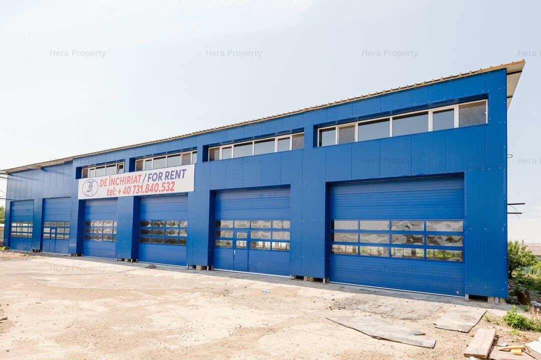 Spațiu industrial de închiriat în Vanatori – fotografia 4 din 26