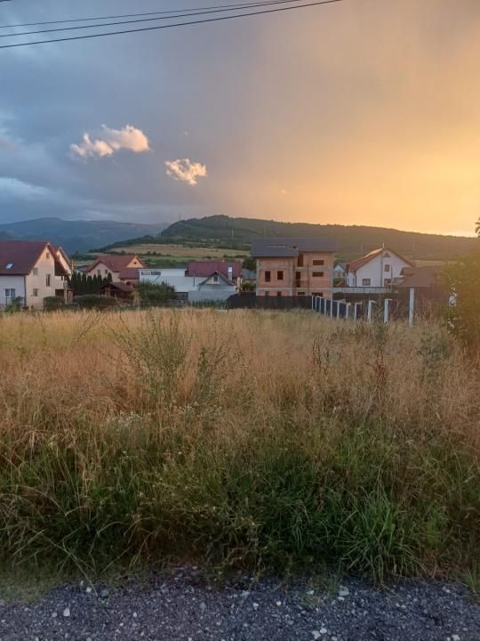 Teren de vânzare în Tălmaciu – fotografia 7 din 13