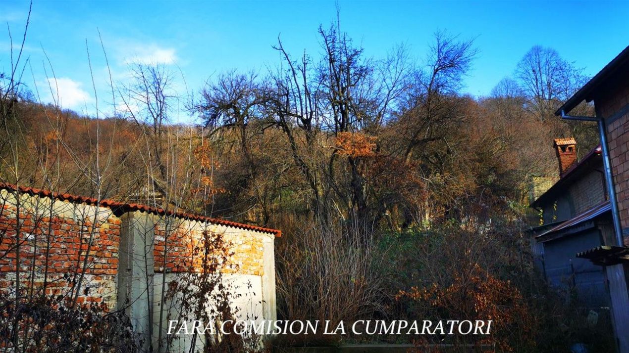Casă cu 6 camere de vânzare în Sud, Băile Olănești – fotografia 17 din 25