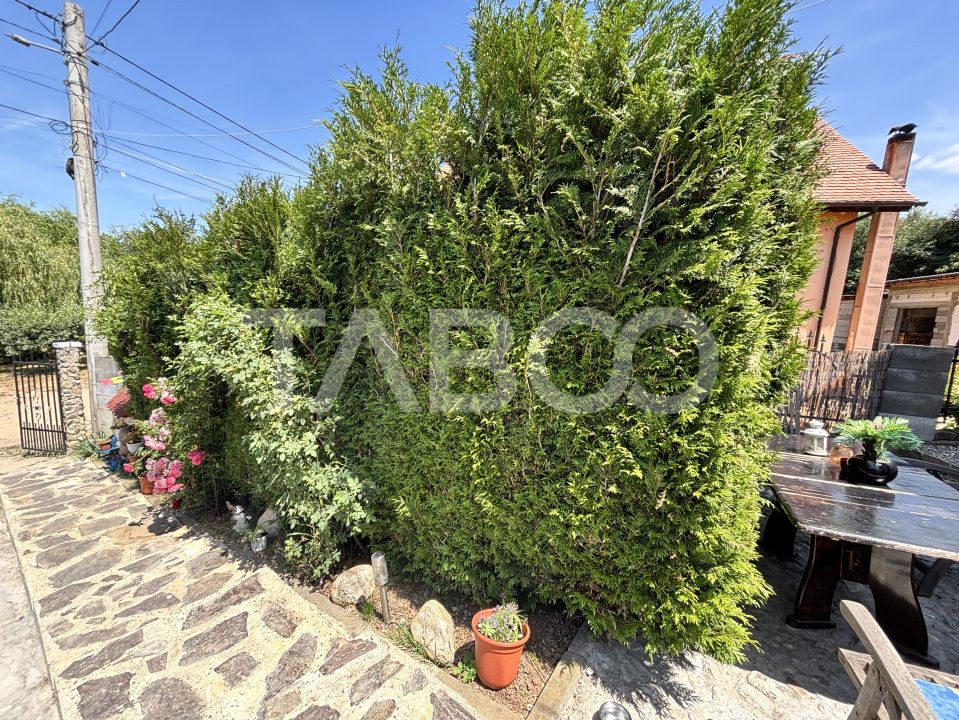 Casă cu 7 camere de vânzare în Sura Mare – fotografia 25 din 35