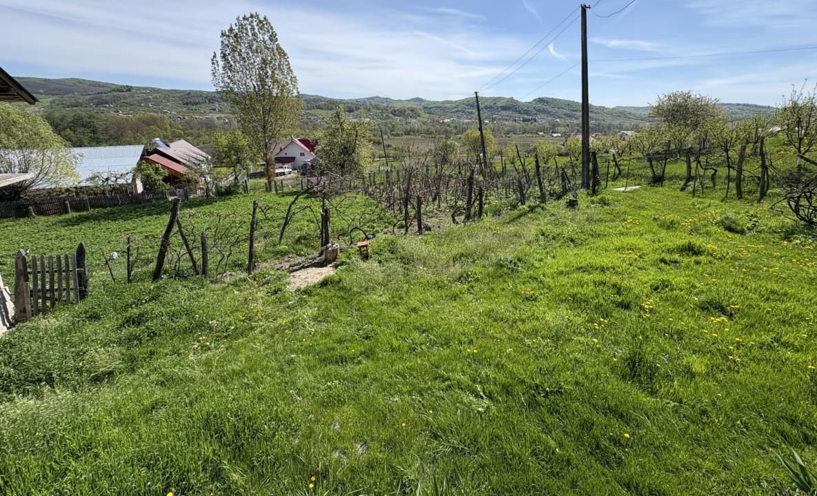 Teren de vânzare în Central, Barsestii de Sus – fotografia 9 din 13