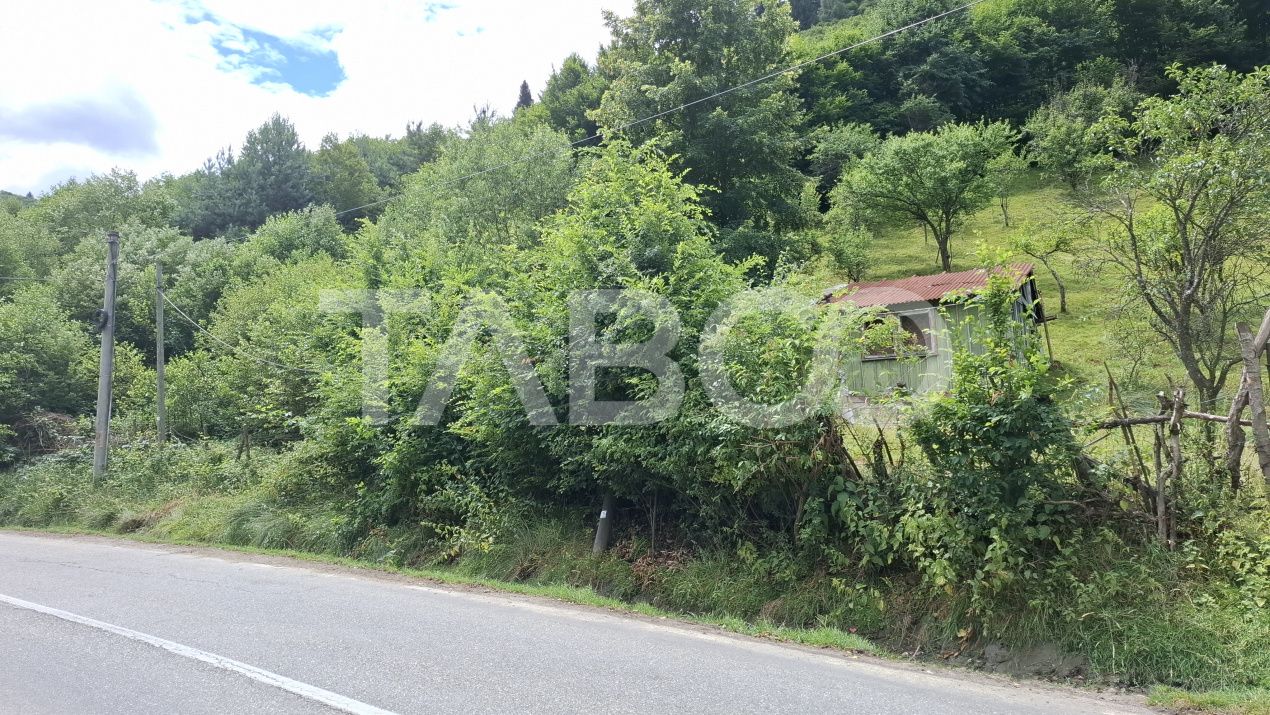 Teren de vânzare în Rășinari – fotografia 4 din 8