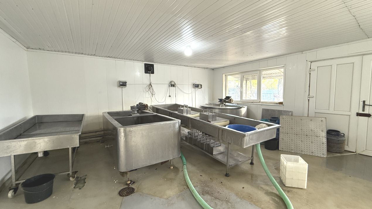 Spațiu comercial cu 5 camere de vânzare în Însurăței – fotografia 8 din 16