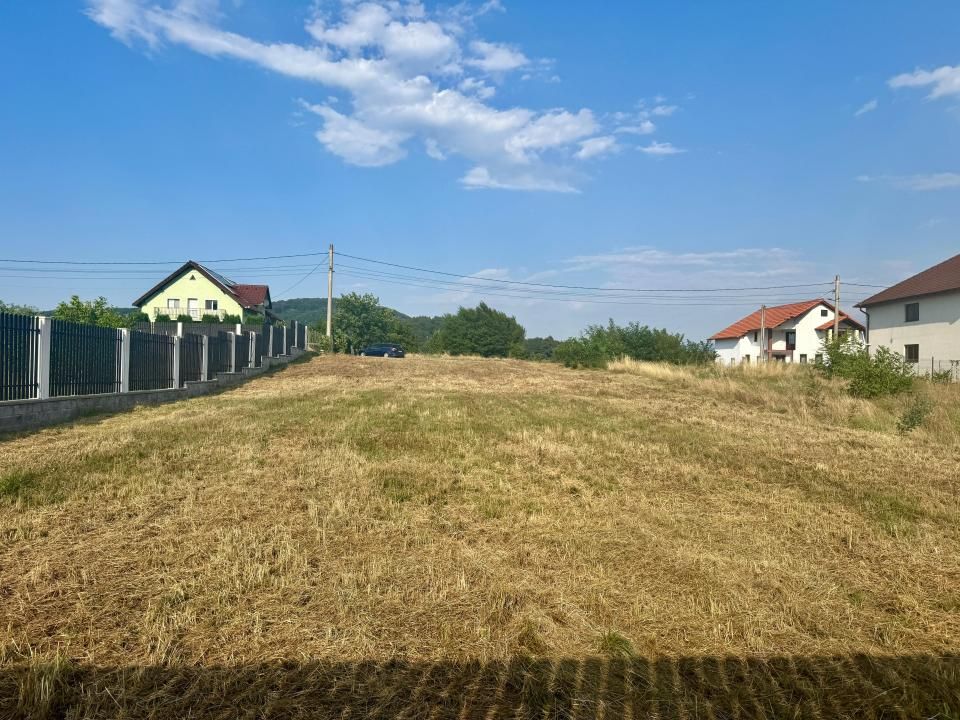 Teren de vânzare în Tălmaciu – fotografia 11 din 13