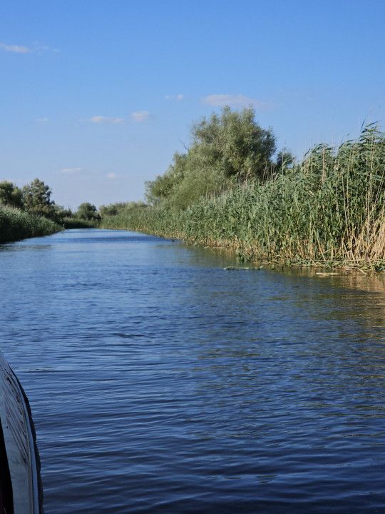 Teren de vânzare în Cardon – fotografia 15 din 21