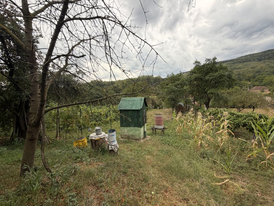 Casă cu 3 camere de vânzare în Central, Cricau – fotografia 20 din 54