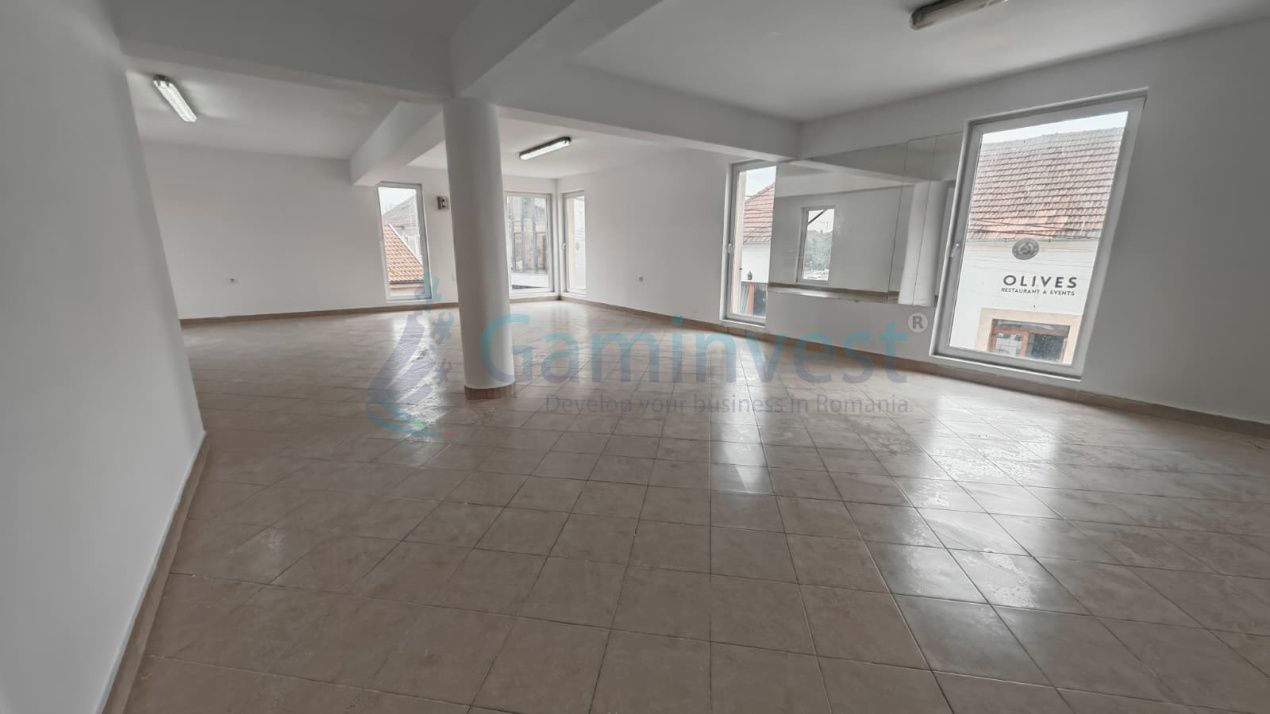 Spațiu comercial cu 8 camere de vânzare în Aleșd – fotografia 3 din 5