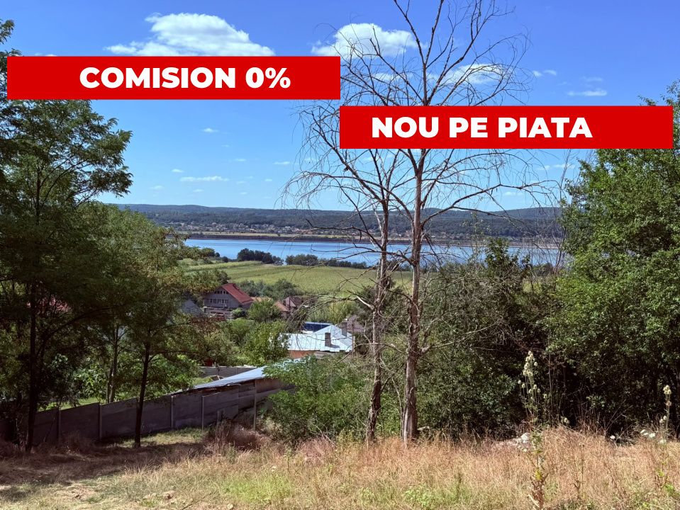 Teren de vânzare în Budeasa – fotografia 1 din 6