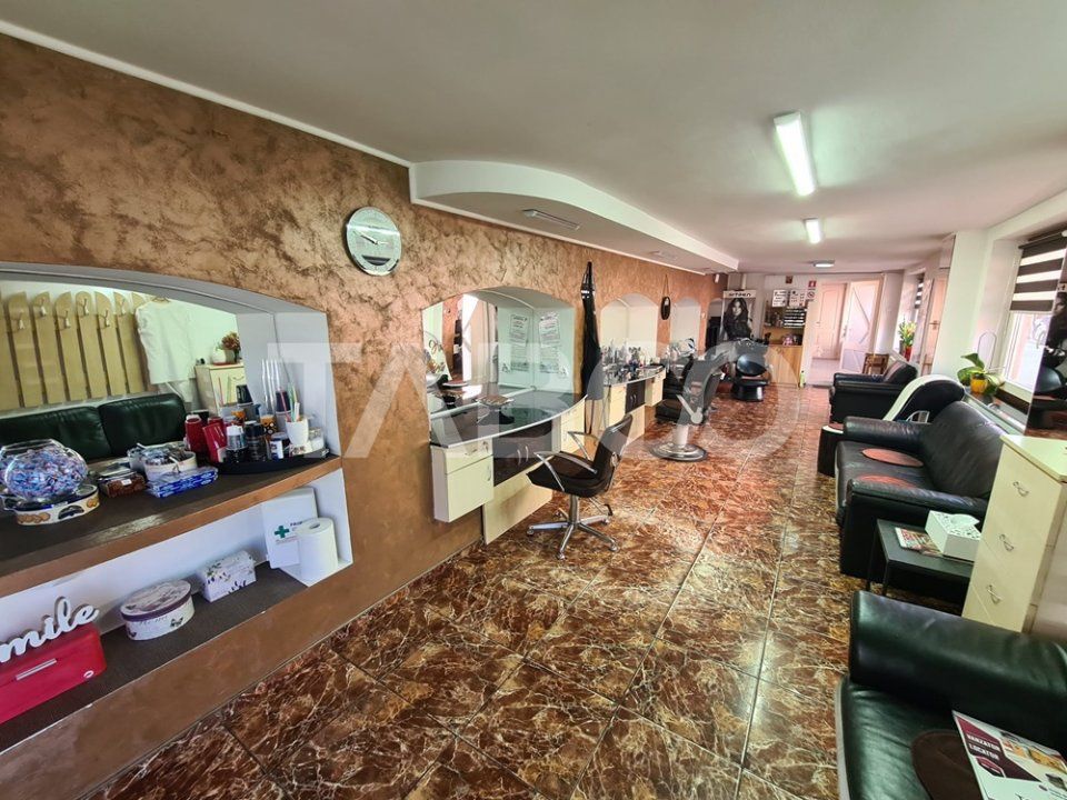 Casă cu 8 camere de vânzare în Sebeș – fotografia 4 din 20