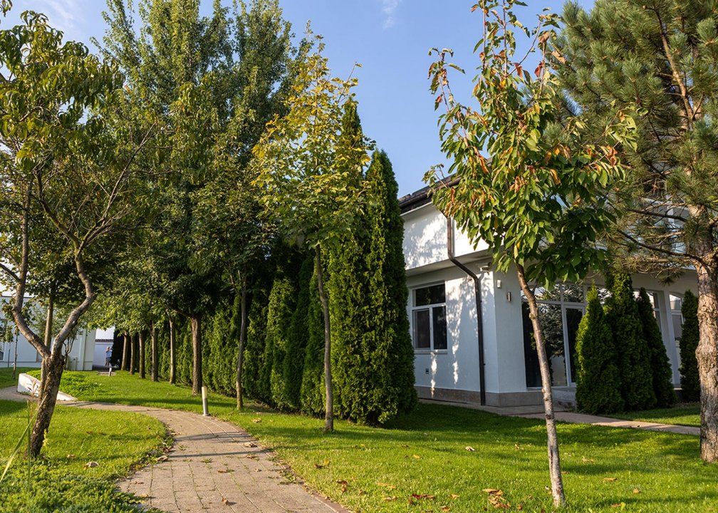 Casă cu 15 camere de vânzare în Mogoșoaia – fotografia 41 din 48