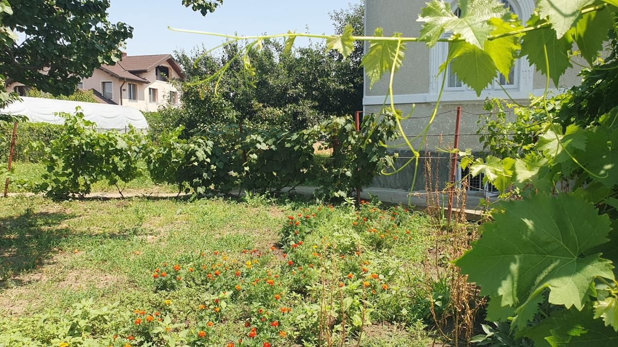 Casă cu 4 camere de vânzare în Est, Buftea – fotografia 3 din 12
