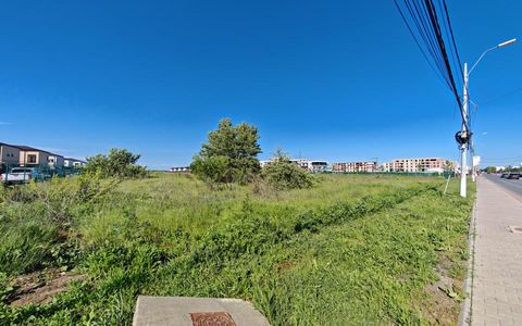 Teren de vânzare în Sud, Tunari