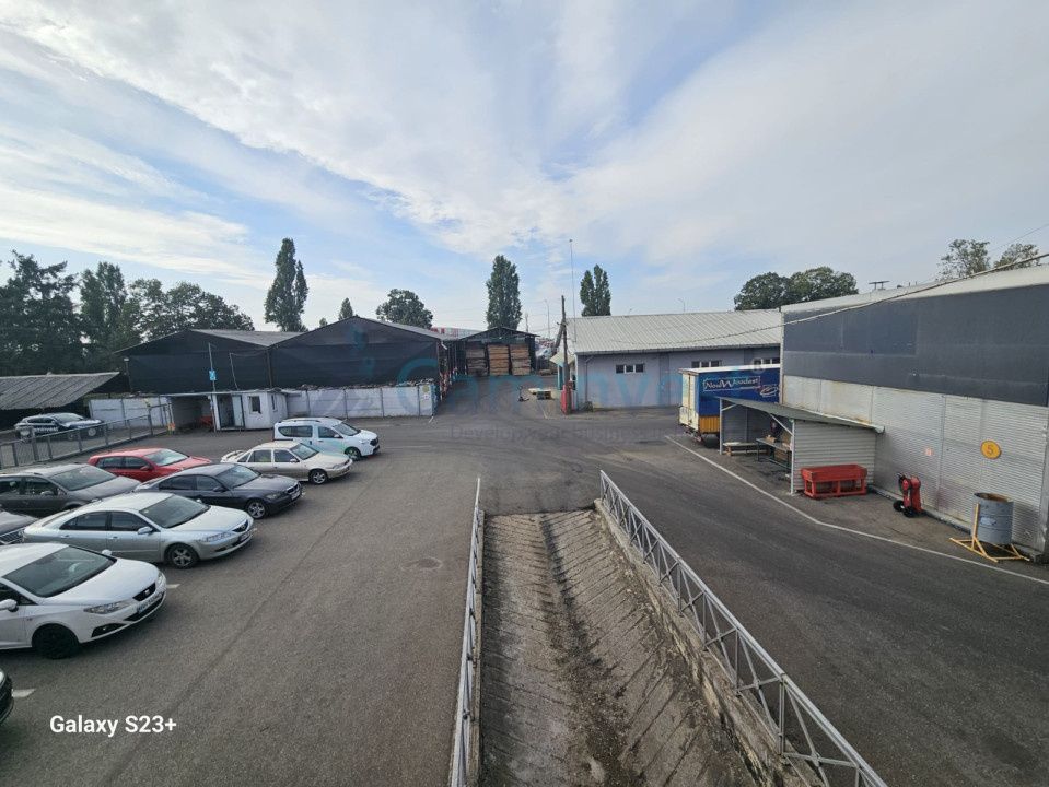 Spațiu industrial de vânzare în Bors – fotografia 7 din 19