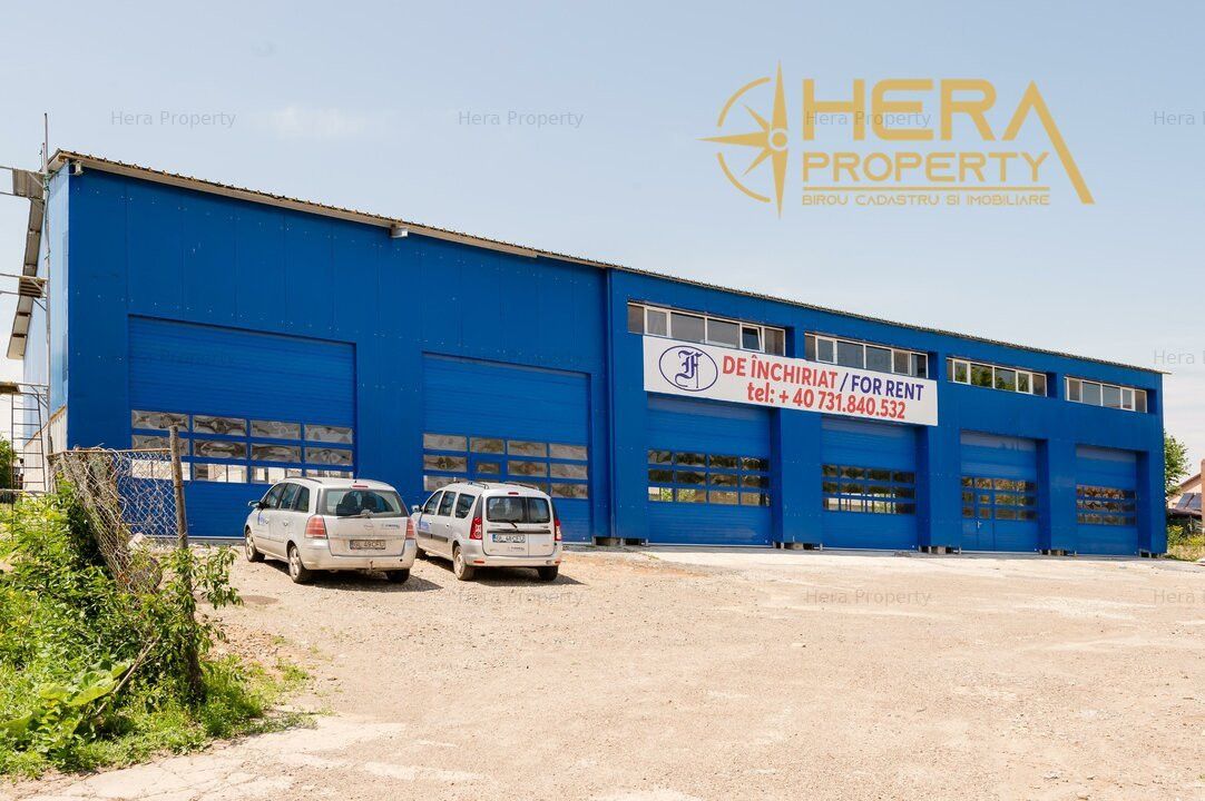 Spațiu industrial de închiriat în Vanatori – fotografia 1 din 26