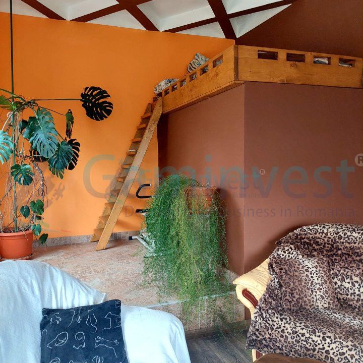 Casă cu 4 camere de vânzare în Valea lui Mihai – fotografia 7 din 10