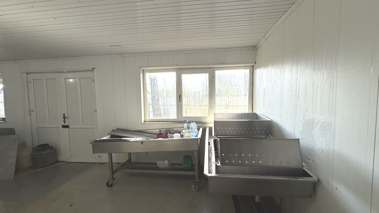 Spațiu comercial cu 5 camere de vânzare în Însurăței – fotografia 7 din 16