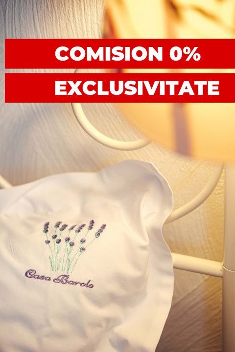 Hotel / pensiune cu 10 camere de vânzare în Vest, Vlaha – fotografia 38 din 40