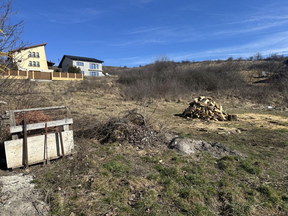 Teren de vânzare în Nord, Chinteni – fotografia 4 din 7