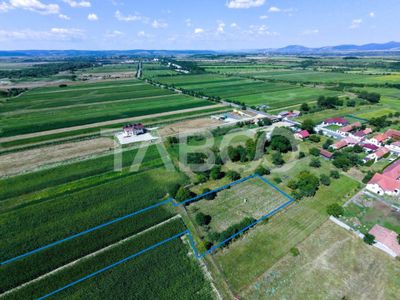 Teren de vânzare în Vad – fotografia 2 din 6