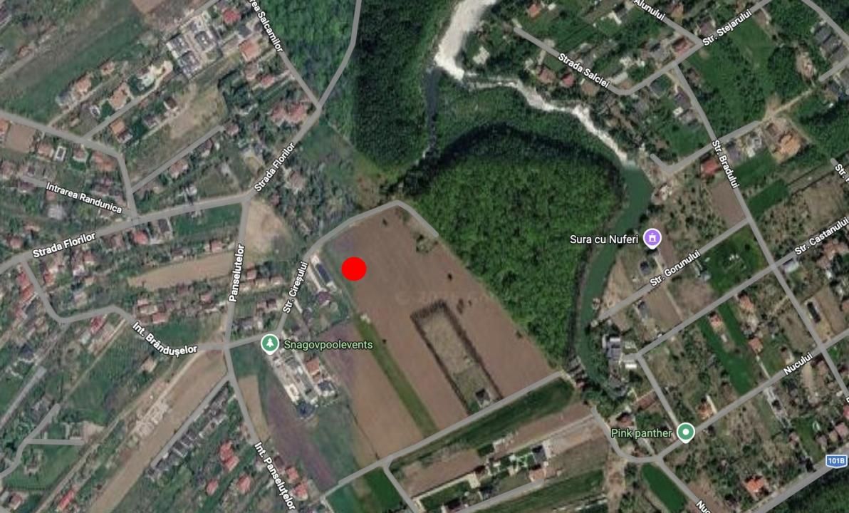 Teren de vânzare în Snagov – fotografia 2 din 5