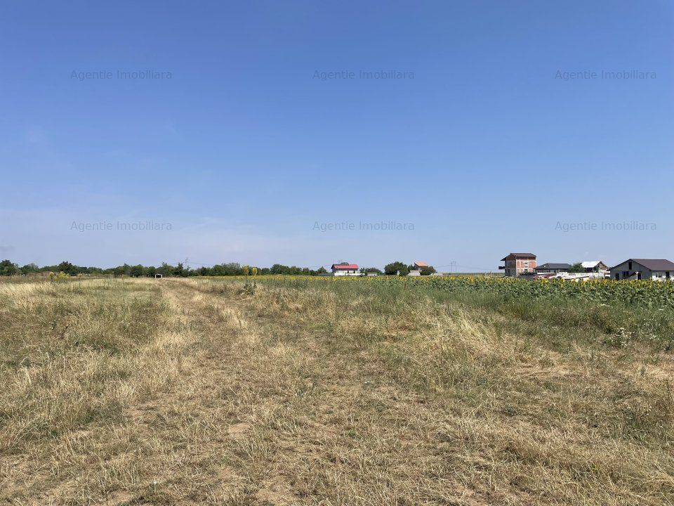 Teren de vânzare în Frumusani – fotografia 4 din 6