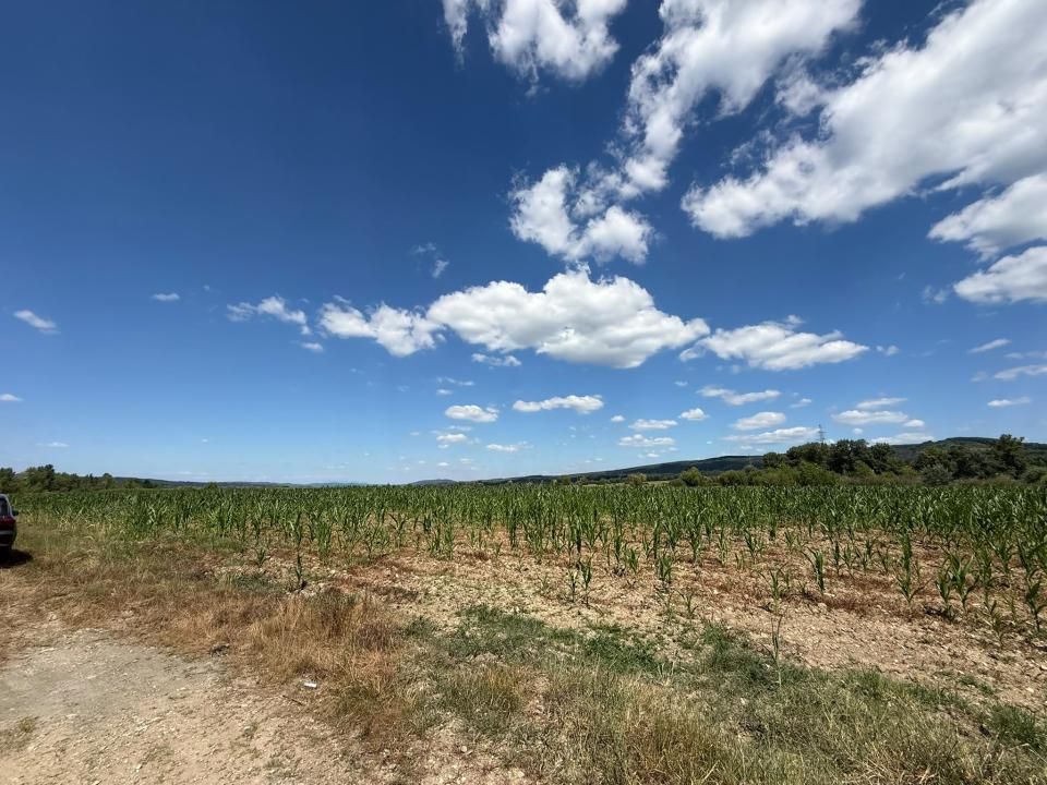 Teren de vânzare în Budeasa – fotografia 4 din 5