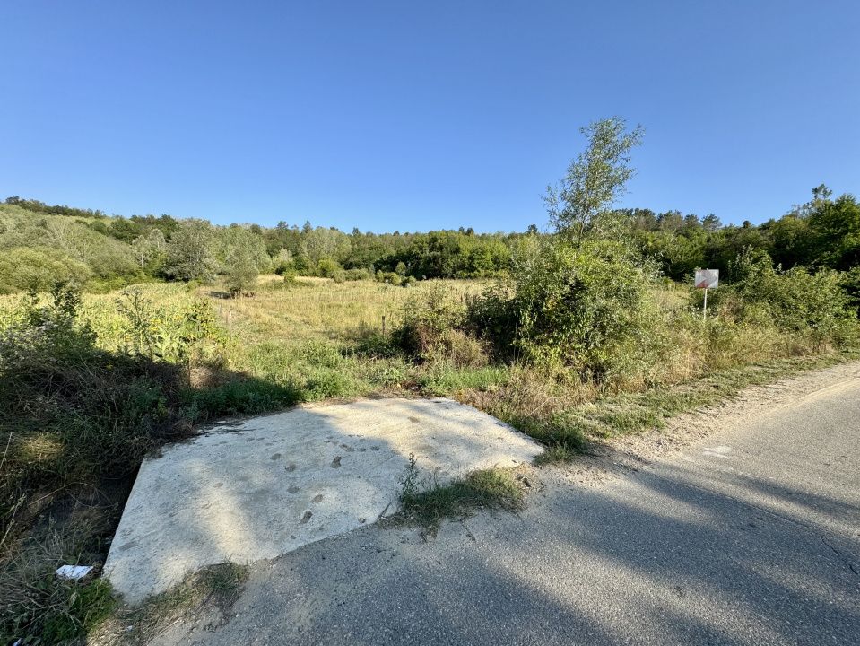 Teren de vânzare în Lupsa de Sus – fotografia 1 din 5