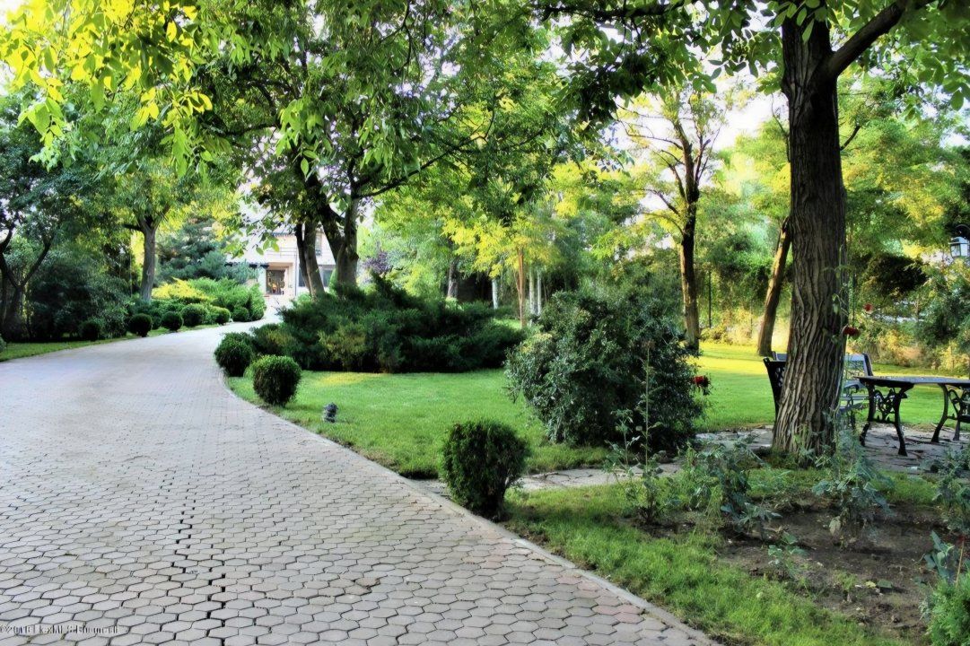 Casă cu 10 camere de vânzare în Mogoșoaia – fotografia 4 din 38