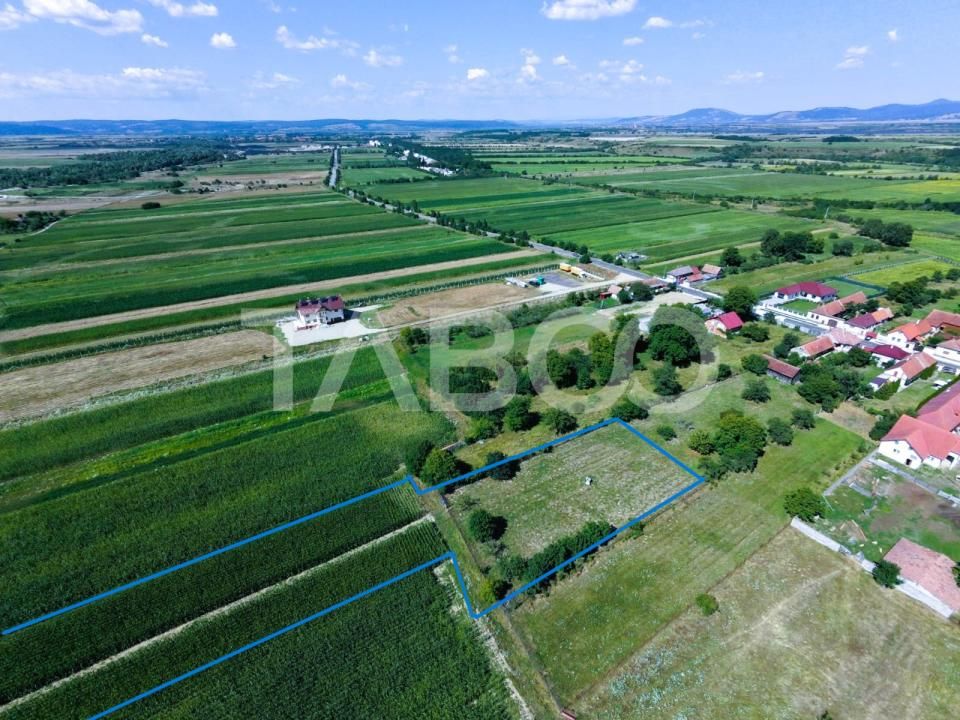 Teren de vânzare în Vad – fotografia 2 din 6