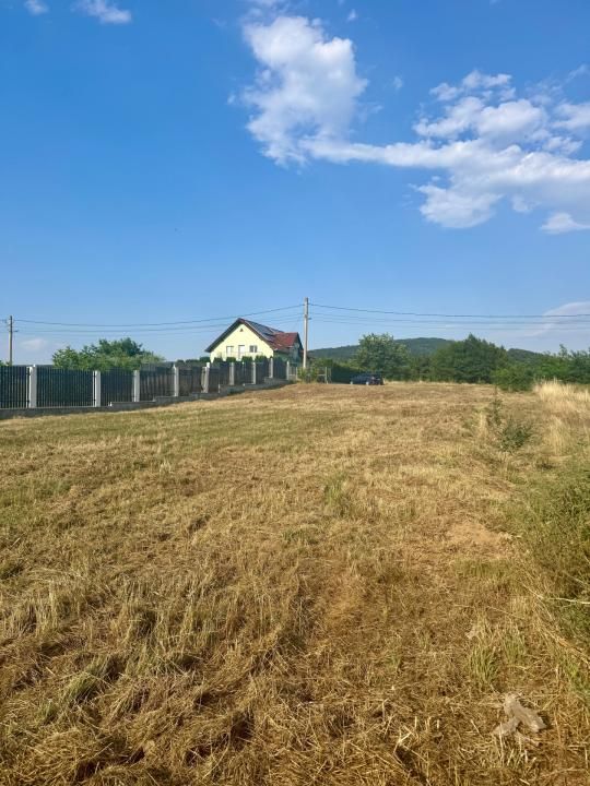 Teren de vânzare în Tălmaciu – fotografia 5 din 13