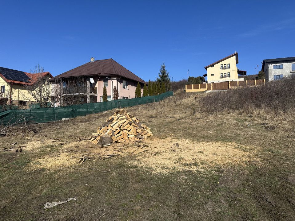 Teren de vânzare în Nord, Chinteni – fotografia 5 din 7