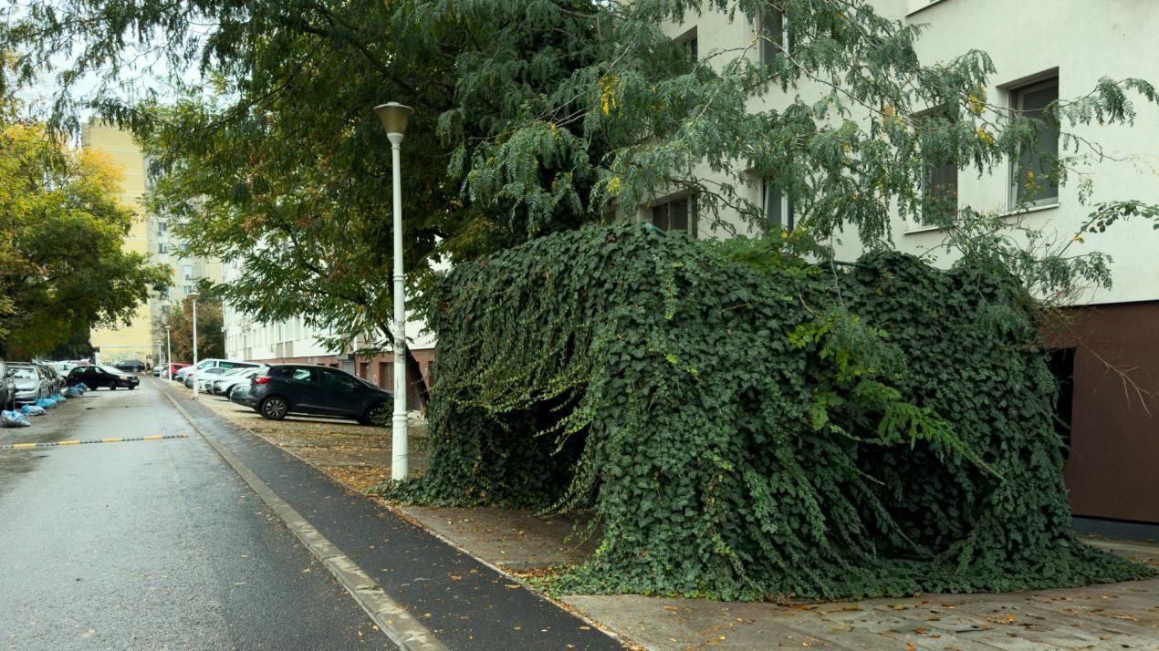Apartament cu 3 camere de închiriat în Drumul Taberei, București – fotografia 14 din 14