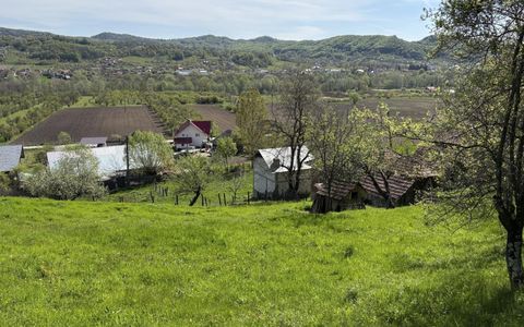 Teren de vânzare în Central, Barsestii de Sus