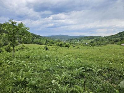Teren de vânzare în Margineni – fotografia 4 din 7